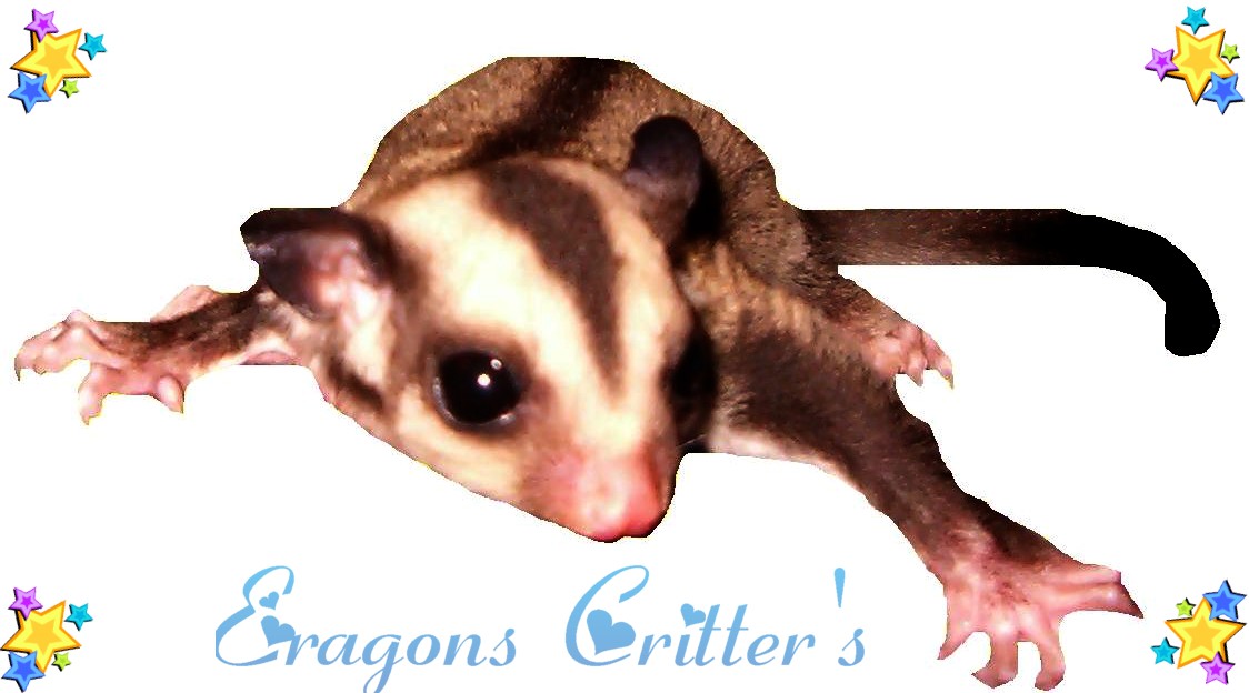 logo.jpg